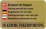 Visvergunningen voor een jaar