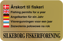 Visvergunningen voor een jaar