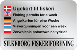 Visvergunningen voor een week